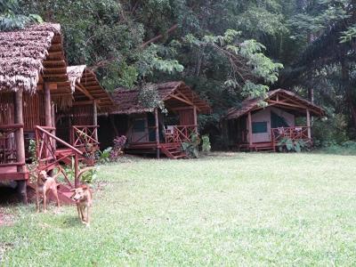 Simbamwenni Lodge And Camping Morogoro Ngoại thất bức ảnh